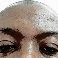 Engage your lawmakers (@zionjigga) 's Twitter Profile Photo