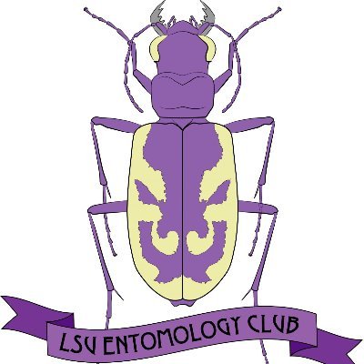Do you love critters? We aim to promote the science of #entomology and to establish an open forum for discussion about the importance of #insects in our world.