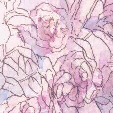 芹原オリさんのプロフィール画像