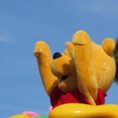 disney__pooh821's profile picture. 成人済み/遠方なのでツイート少なめ🌱/プーが生き甲斐の女🧸🍯/Qライン球体ポールオタ