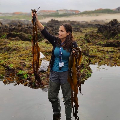 marine biologist at @CiimarUp | seaweed enthusiast | intertidal explorer | ocean lover