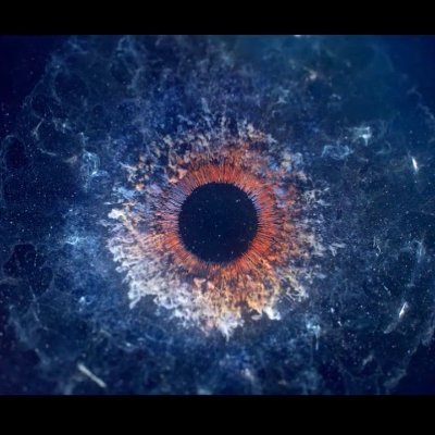 crypto__oracle's profile picture. 