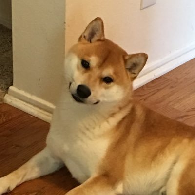 nard_core's profile picture. 