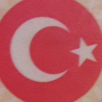 Efsun Altay Tüfekci(@tufekci_efsun) 's Twitter Profile Photo