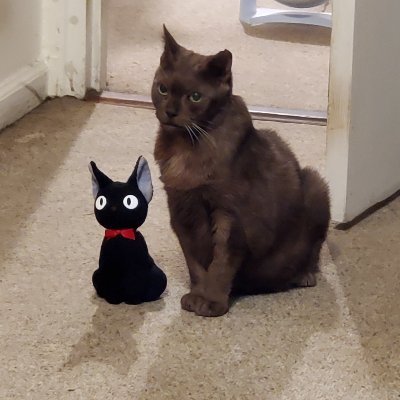 h3x3nbi3st's profile picture. ♡ here for toasty infosec news ♡ security analyst