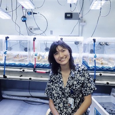 Ph.D. student at @BarshisLab/ @psu_sci & @IMBRSea alum/ interested in coral restoration and resilience 🪸