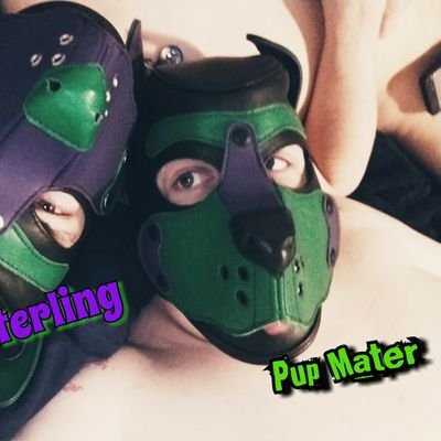 Pup Mater. Just a new pup with a kink side. Trying to find my place in this world snapchat: tuhm8er86
