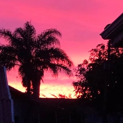 FeiginPaul's profile picture. 