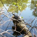 Patrick Rummel - @PatrickRummel - Twitter