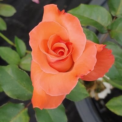 M_M_MONEY_'s profile picture. ✌️ on 🌏!