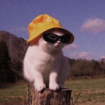 luciatorovieira's profile picture. si quieren ser tontos, que mueran tontos