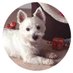 Westies & Besties Magazine (@BestiesMagazine) Twitter profile photo