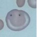 Hematologia ICO Tarragona-HJ23 (@icohj23) Twitter profile photo Hematologia ICO Tarragona-HJ23 (@icohj23) Twitter profile photo