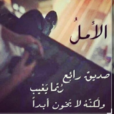 Q8fqWIBSZ9hGDBM's profile picture. 