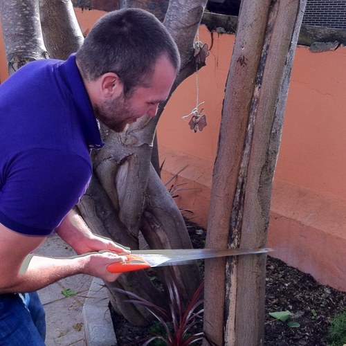 theallanpowell's profile picture. 