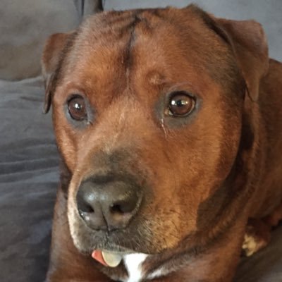 Colleenlindber2's profile picture. 