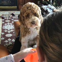 B Ellis (@bellis_hwdsb) 's Twitter Profile Photo