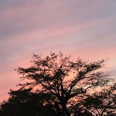 夕方さんのプロフィール画像