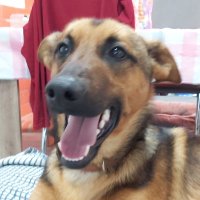 Best (@comoatedormir) 's Twitter Profile