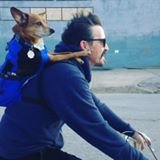 Martleby, the Scrivener (@realmartypeercy) 's Twitter Profile Photo