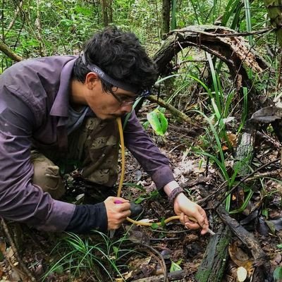 Biologist | Arachnologist | PhD  🇲🇽🕷️📷🔬