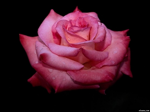 MrElSayedR's profile picture. https://t.co/KjHh3MJd1Z
https://t.co/OXxnYUPvOj
https://t.co/IULkcDw7tR
https://t.co/v8BYKkF5BG
