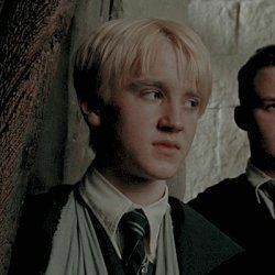 cristalizadaxz's profile picture. cadelinha da kylie jenner