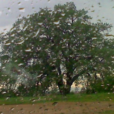 d1sappy's profile picture. ..