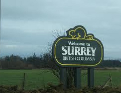 Surreyontheweb's profile picture. 