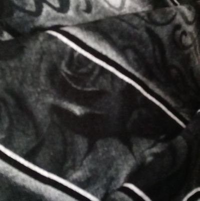 VIBEZZ54178900's profile picture. lit shit