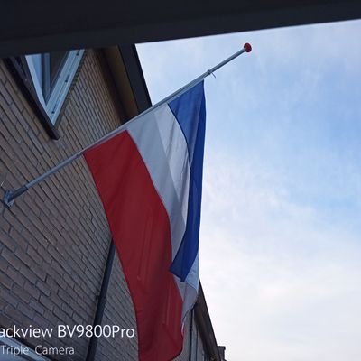 Anthony76563716's profile picture. weg met de dictator Pinokio en meneer snuif schoen