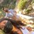 lolaarellano001's profile image