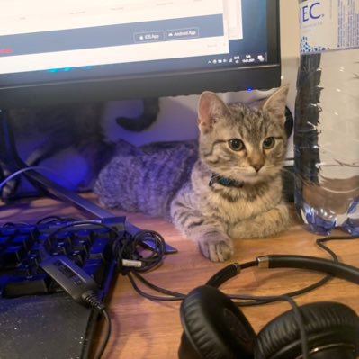 stargazer2077's profile picture. Ultimate frontier!