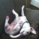 Scott Kahn - @juicecon - Twitter