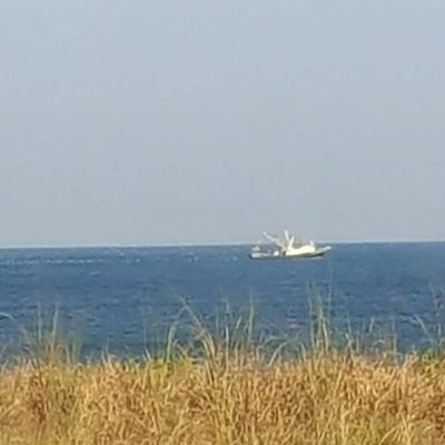 MarianNunnally's profile picture. 