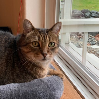 SilviaR62049036's profile picture. Living the retired life. No dms