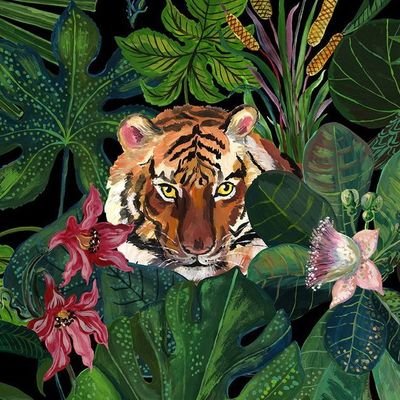 ohmetapina's profile picture. My head is a jungle