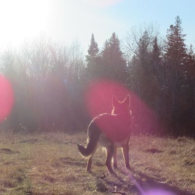 binaryninja117's profile picture. 