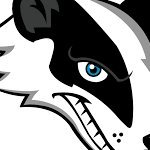 Option Badger (@optionbadger) 's Twitter Profile