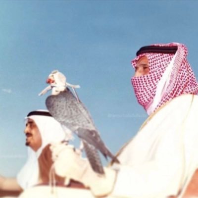 salman0k's profile picture. 😈👨🏼‍💻