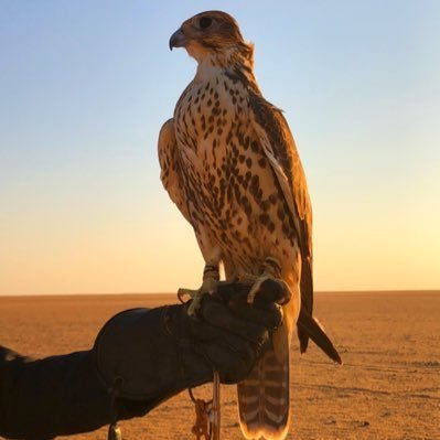مضى مَا مضى والله على المقبلات يعين. و عسى الله يزينها على الحال لا شانت