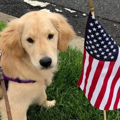 patty67702721's profile picture. Patriot, conservative, Catholic, grandparent, parent, constitution rules. God bless America!!