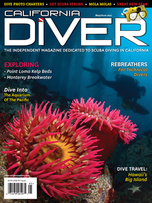 Every great dive begins here!