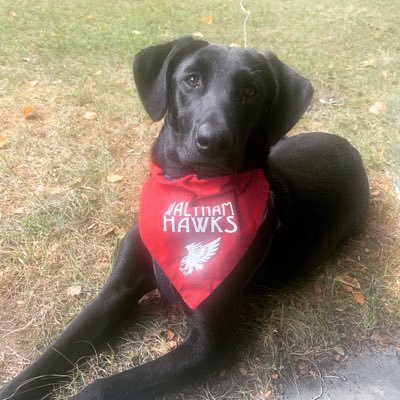 The official twitter page of Waltham High School Girls Basketball Program.