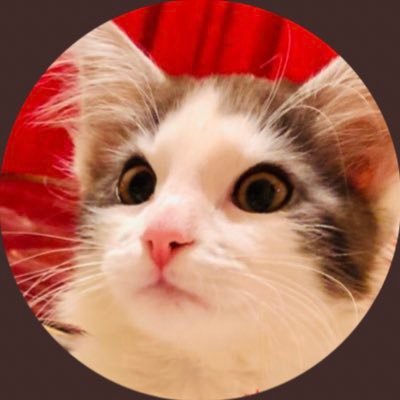 ট ইট র ねこちゃん 2 足呼吸 妊婦の氷麗 呼吸するたびにデカイ腹に合わせて足が コレは足呼吸 ট ইট র ねこちゃん 2 足呼吸 妊婦の氷麗 呼吸するたびにデカイ腹に合わせて足が コレは足呼吸