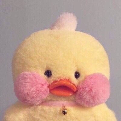 best boyさんのプロフィール画像