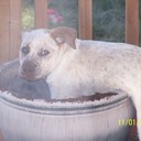 briana may tomlinson - @2tomlinson - Twitter