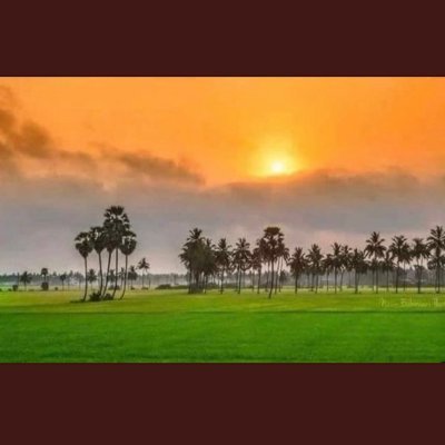 P88352714RajP's profile picture. Student (KU)
Patriot, Hindu is my identity, proud to be an Indian and respect to all religions.....