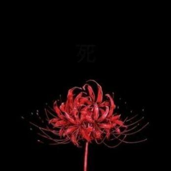 xtian14254483's profile picture. ♥