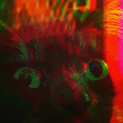 kazzenmann's profile picture. 